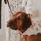 The Journey Bandana