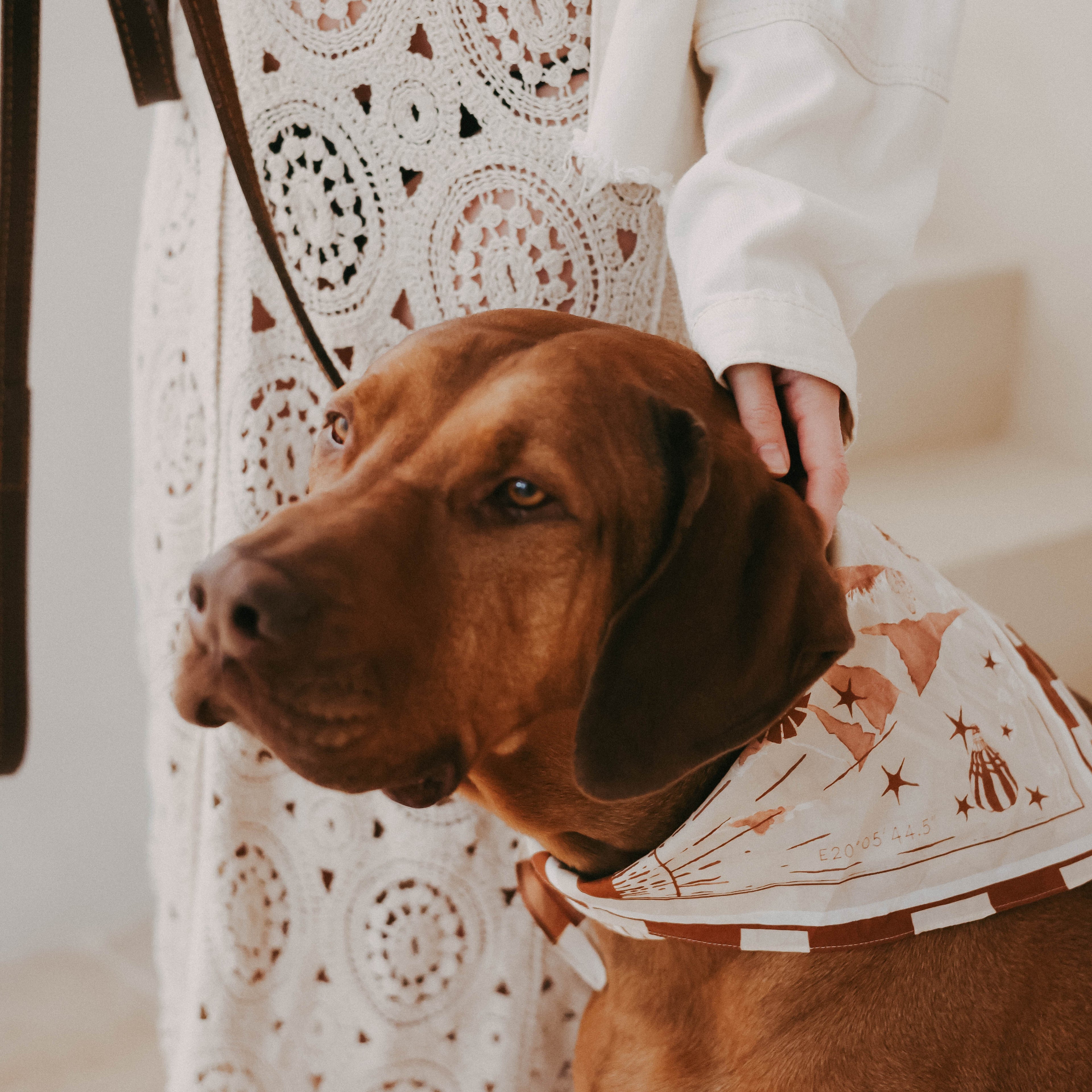 The Journey Bandana