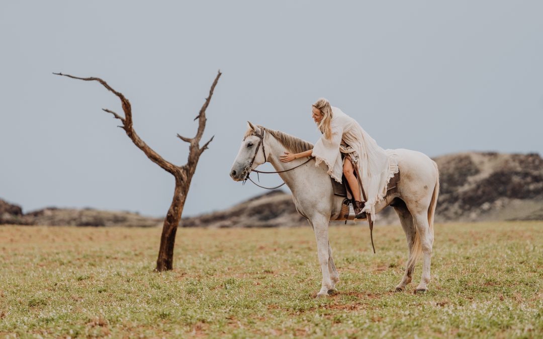 A magical horseback safari in the greenest desert Namibia has seen in 18 years